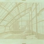 Melissa O'Brien, Fern house, Anthotype with elodea emulsion, 29.7 x 100cm, 2024